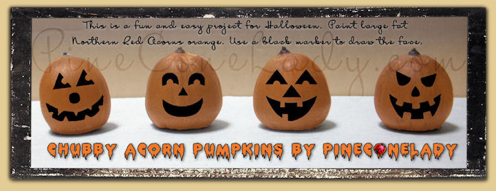 Chubby Acorn Pumpkins by PineConeLady.com