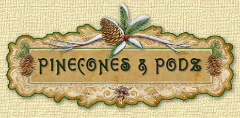 Buy Pinecones and Pods at Pinecones and Podz