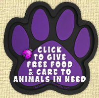 Help Feed the Animals with One Click! -The Animal Rescue Site