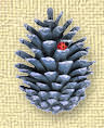 Silver Pinecone for Good Luck!